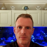 Dunne