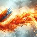 PhoenixPromations